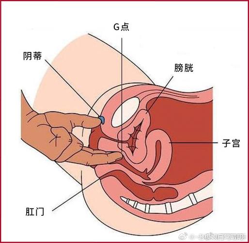 生殖生理