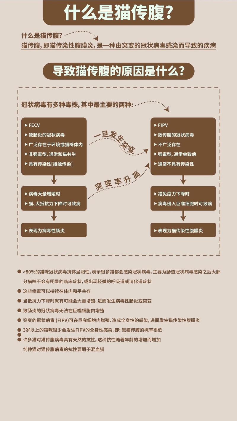 确诊方法