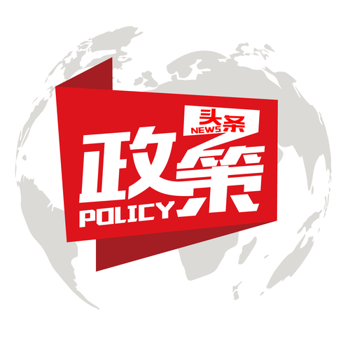 政策
