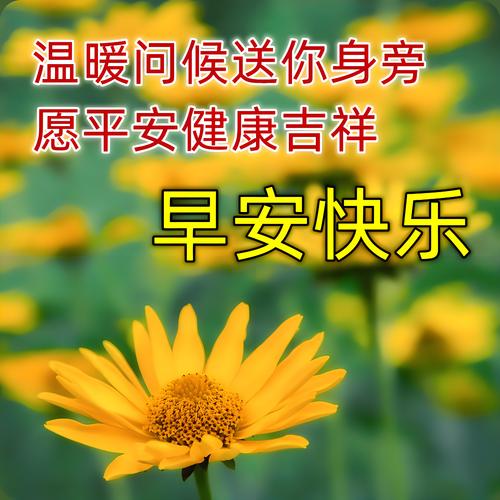  上午好处