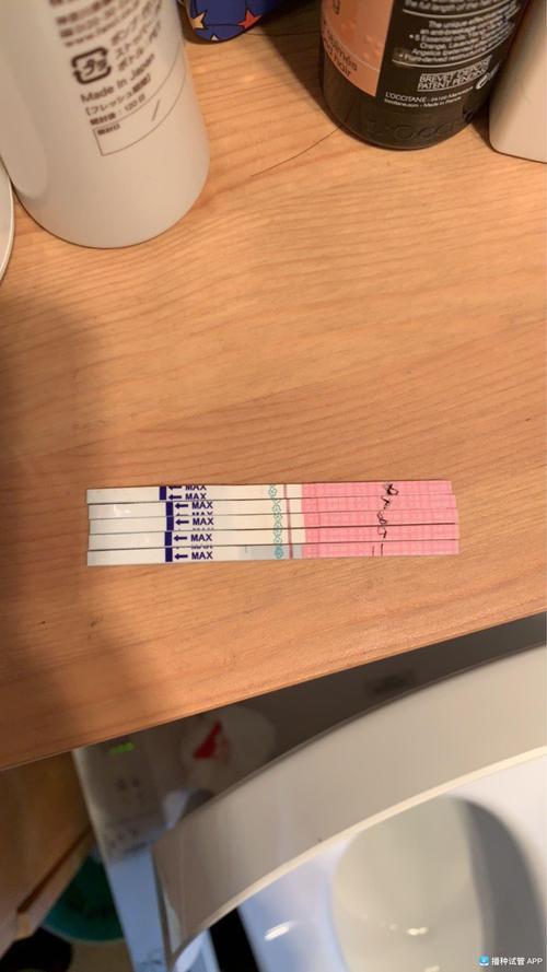  8细胞2级