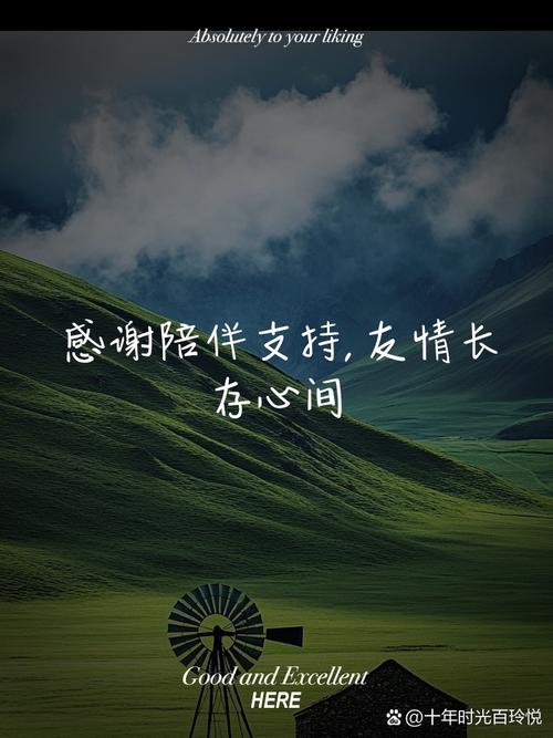 友情支持