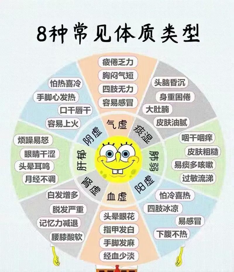 个人体质