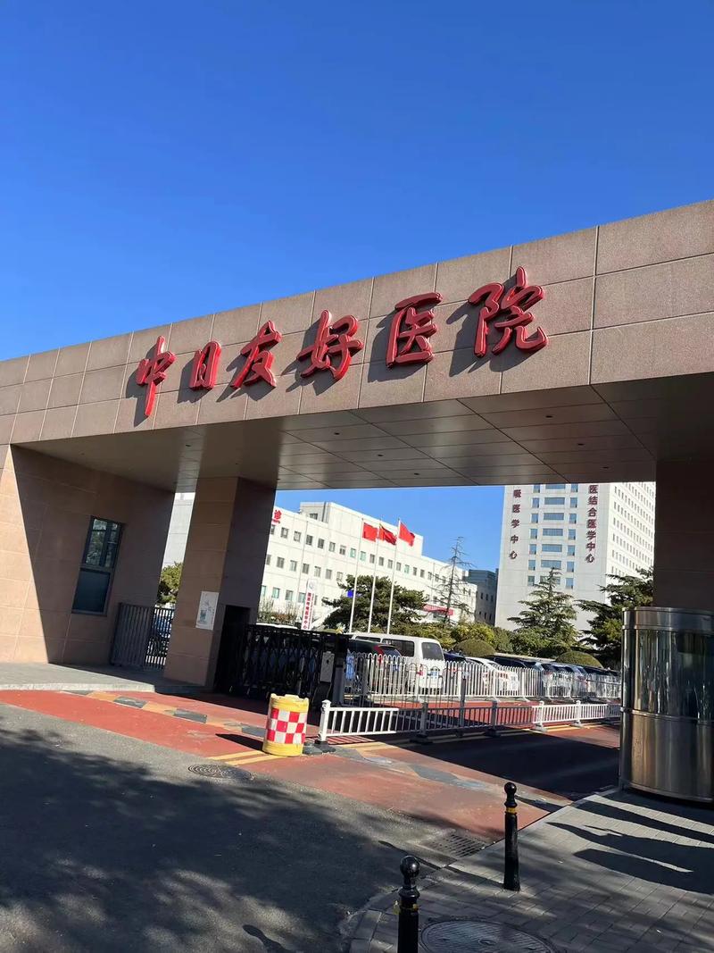 中日友好医院
