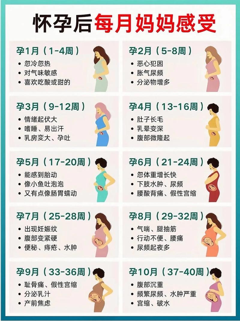 怀孕经历