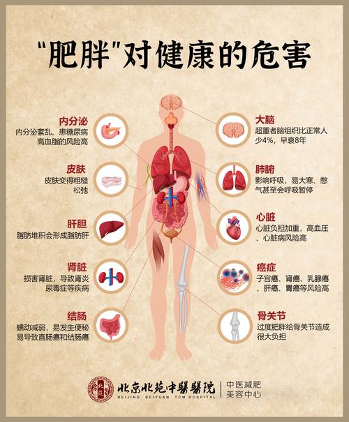 肥胖影响