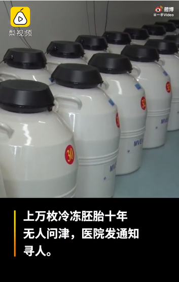 胚胎销毁