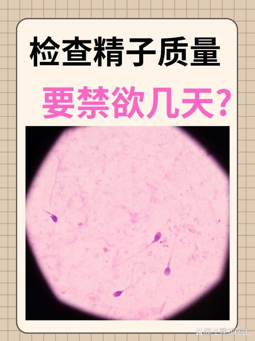 男性精子质量