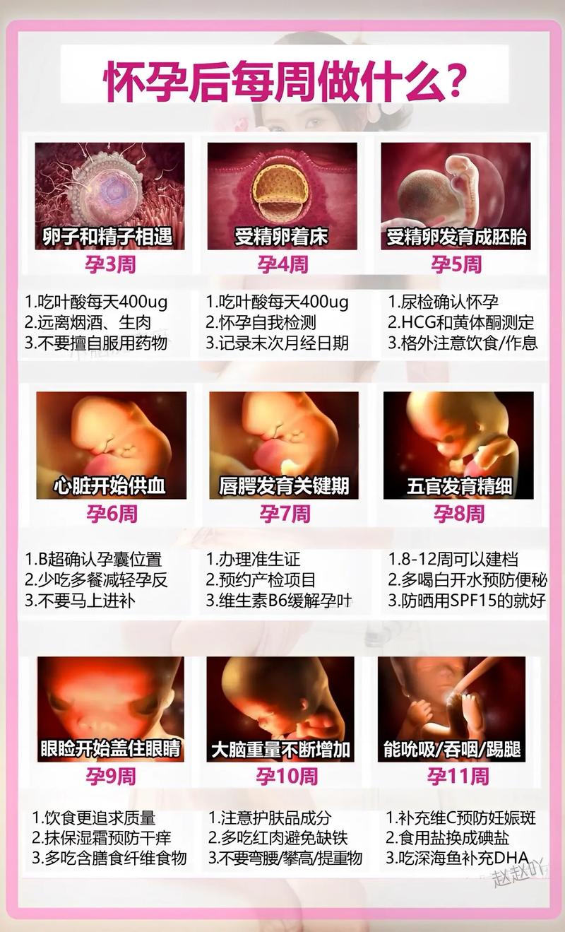  孕育