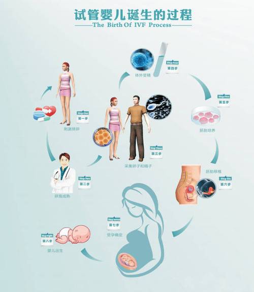 试管婴儿诞生于哪个国家？历史与发展探究