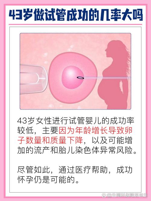  体外受精-胚胎移植（IVF-ET）