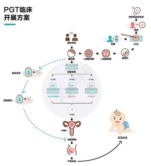 易位第三代试管婴儿技术