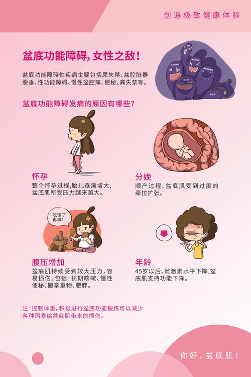 盆底康复