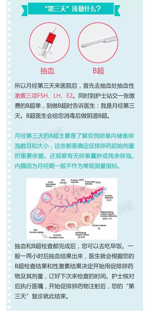 试管婴儿促排卵会痛吗？真相揭秘