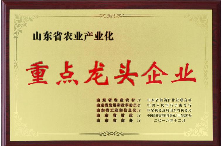  龙头企业