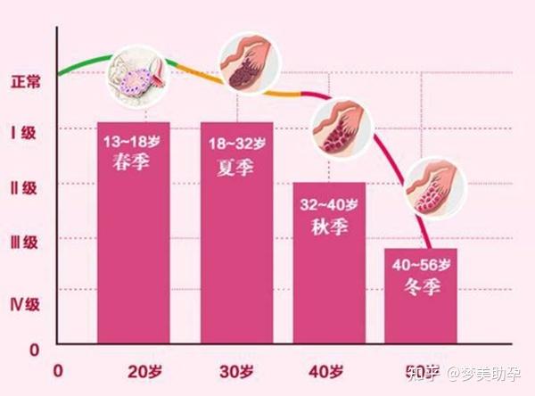 适合做试管婴儿的理想年龄段是什么？