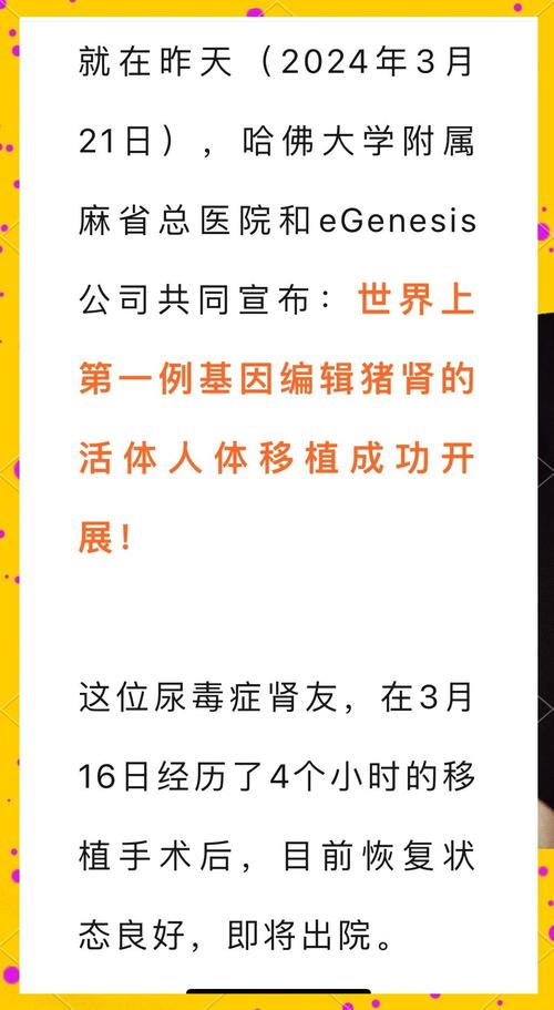移植成功