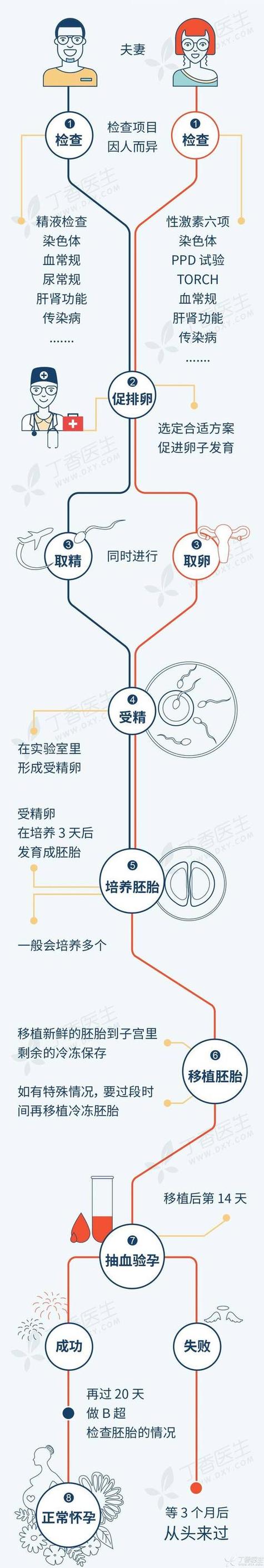 揭秘：试管婴儿，到底是谁的问题？