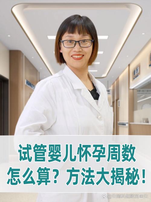 试管婴儿科