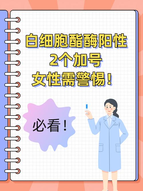 试管婴儿尿常规检查的2个加号？