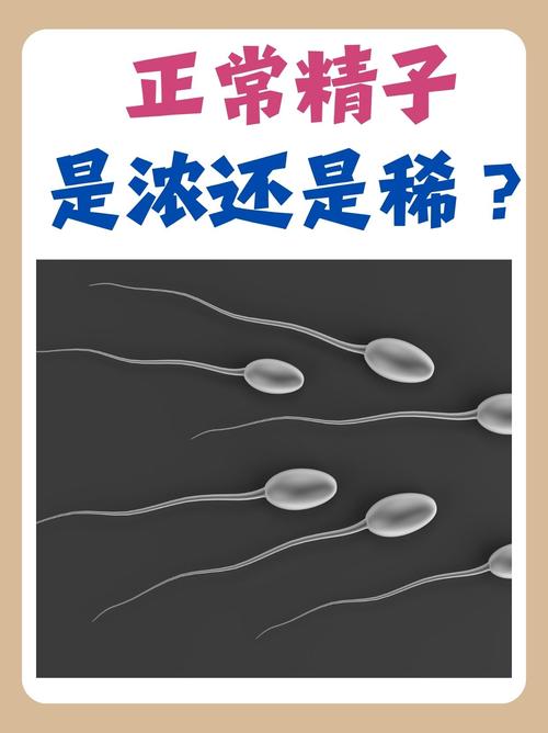 精子权属