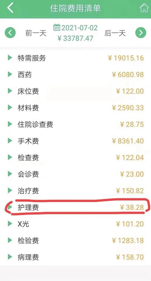 护理支出