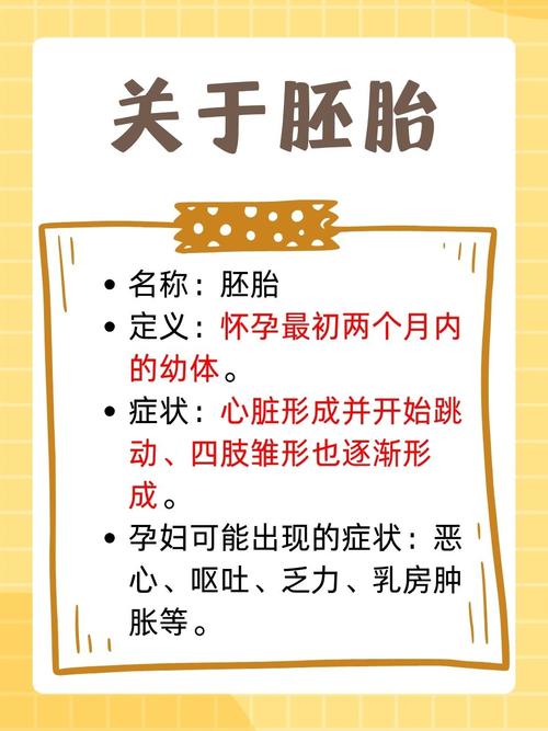 胚胎重要性