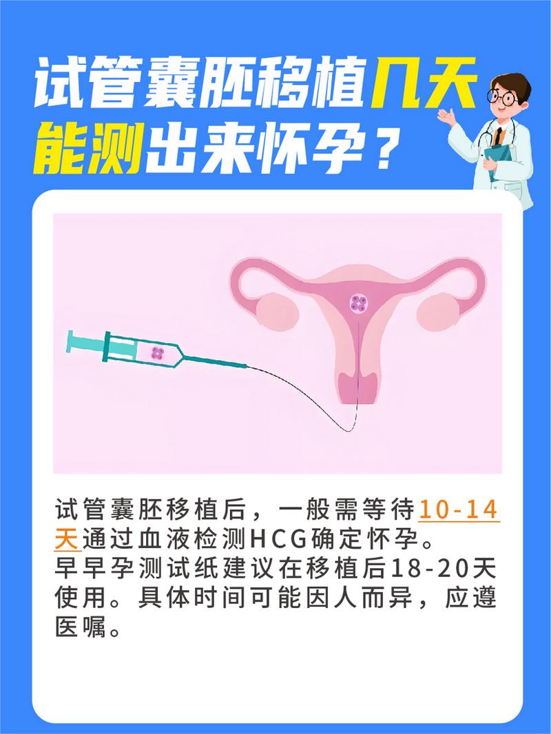 试管婴儿成功后多久可以检测怀孕结果？