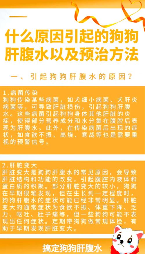 腹水预防