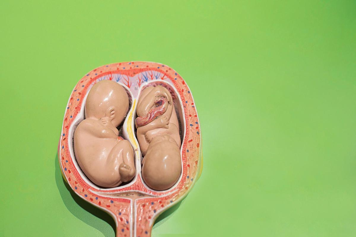 试管婴儿后自然怀孕的可能性有多大？