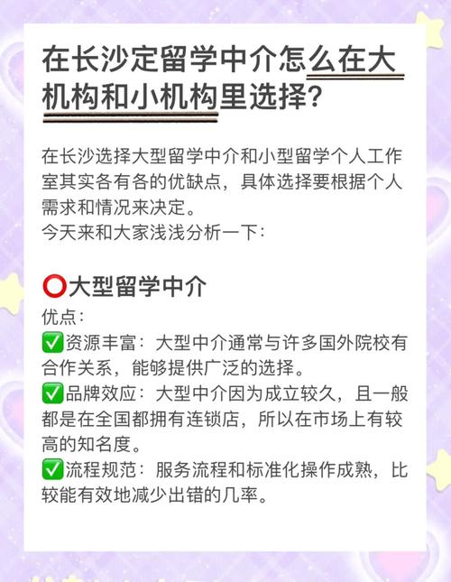 中介机构选择