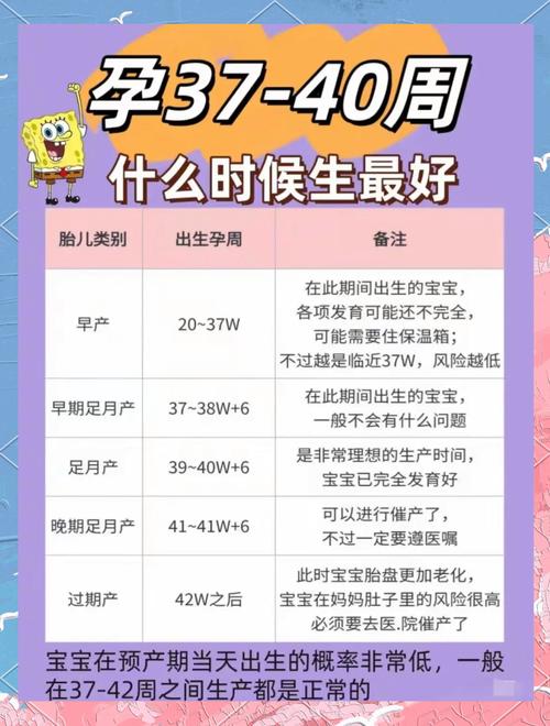 试管婴儿的出生时间揭秘：早产还是晚产？