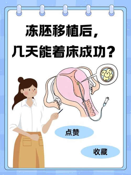 冻胎移植