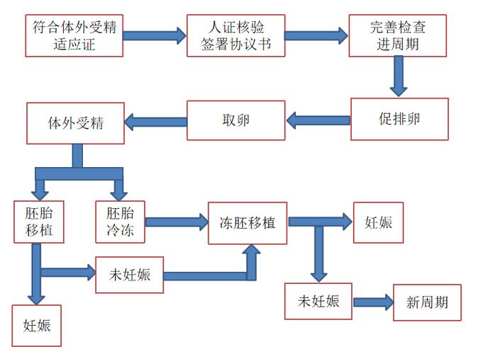 自然受孕替代方案