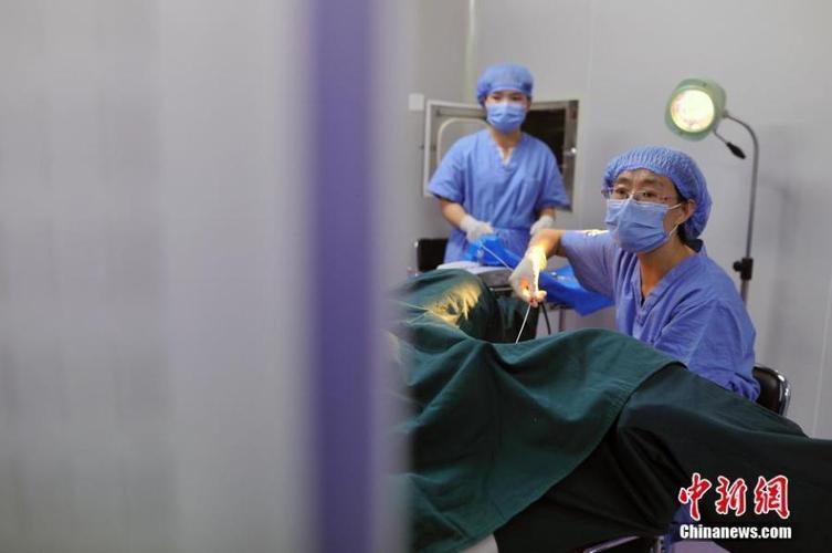 王丽分享试管婴儿全过程的视频揭秘与感悟