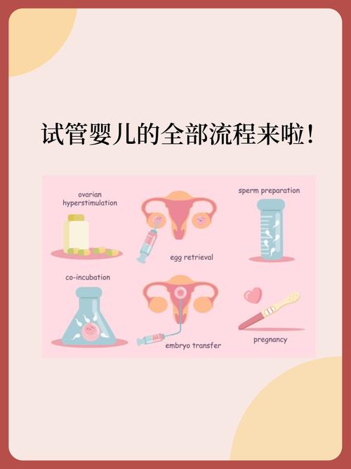 寻找优质试管婴儿基地：全国各地推荐攻略