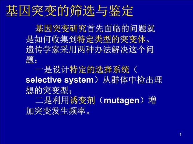 基因突变筛选