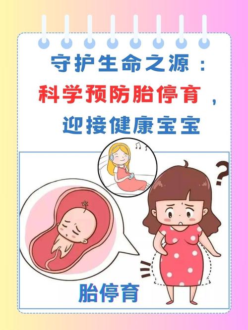 胚胎安全