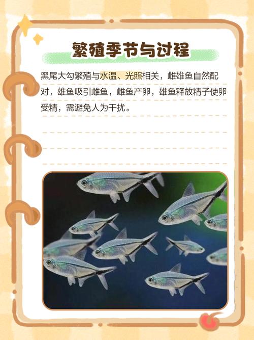 繁殖条件