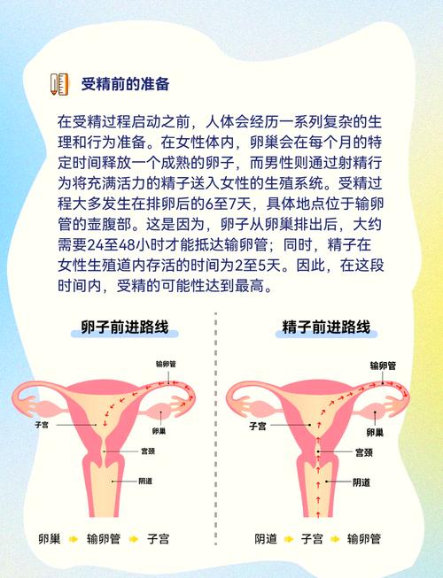 受精指标