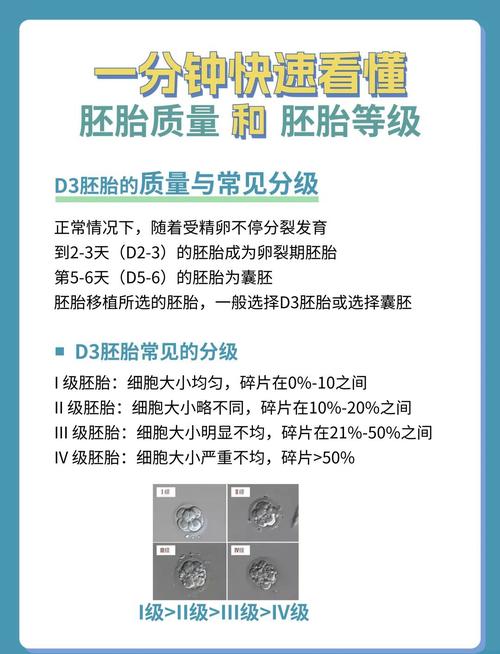 试管婴儿质量等级4：影响因素及评估标准