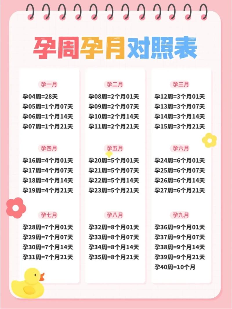 怀孕周数计算