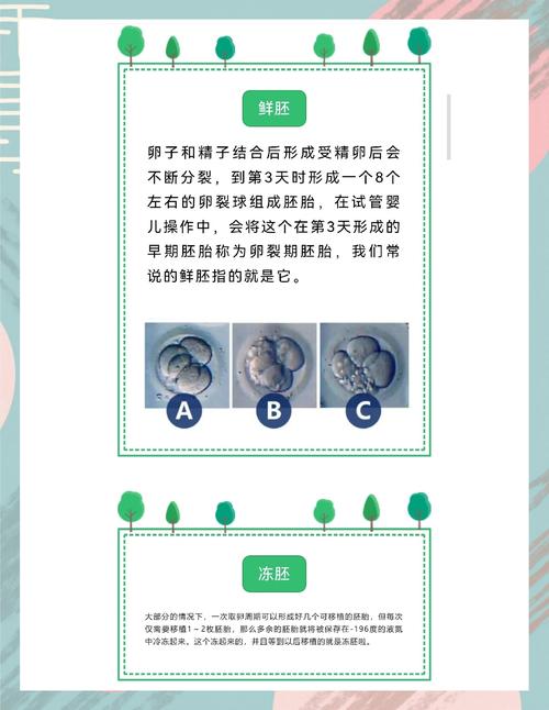 揭秘试管婴儿骗局：全面防范指南视频合集