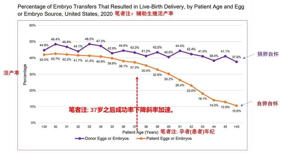 探索试管婴儿：成功率有多高？