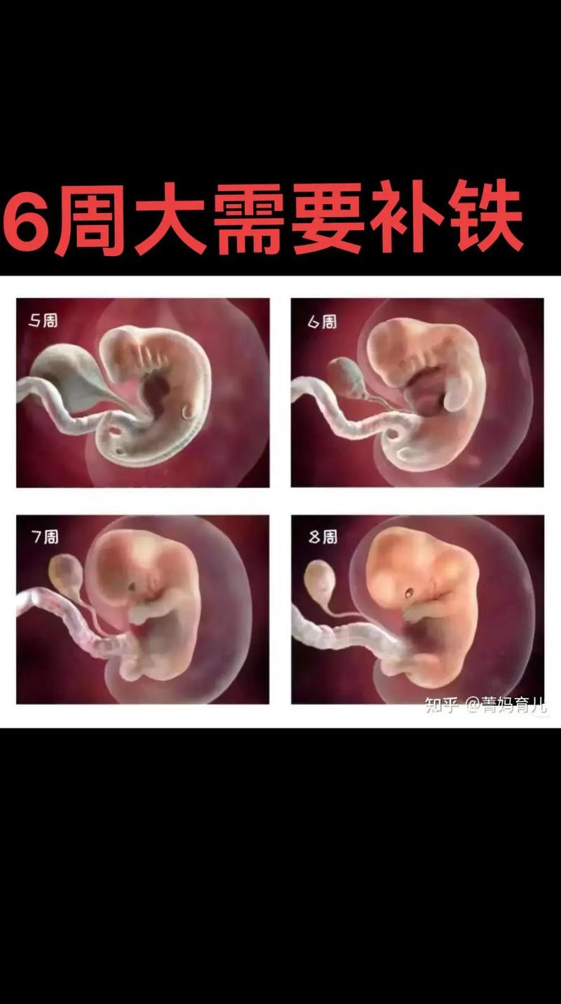 怀孕6周