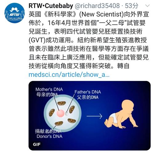 卵浆置换技术