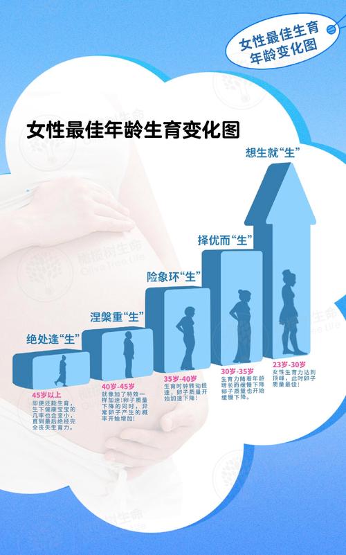生育历程