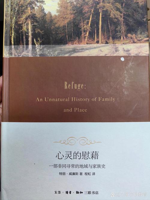 心理慰藉