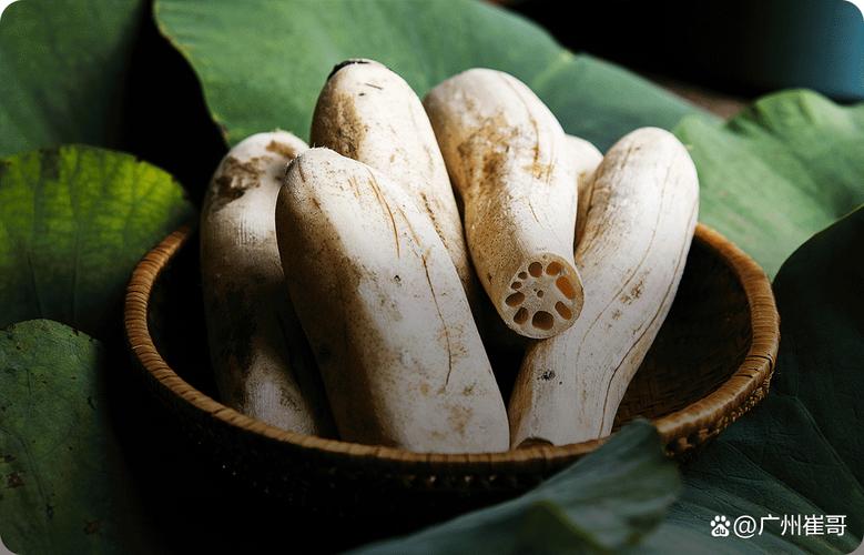 做试管婴儿期间能吃藕吗？专家解答