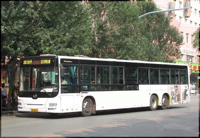 沈阳207